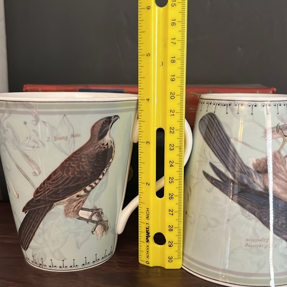 Aynsley Ornithological Studies Fine Bone China Mug - Picture 5 of 6